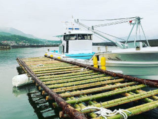 広島県 牡蠣 居酒屋 株式会社ドット・ワン